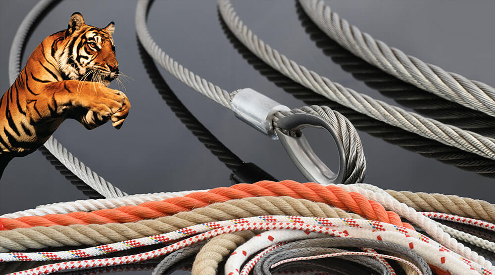 Anschlagseile Anschlagseile › Drahtseile › Drahtseilzubehör › Spezialseile › Kabelziehstrümpfe › Standardseile › Anschlagpunke…