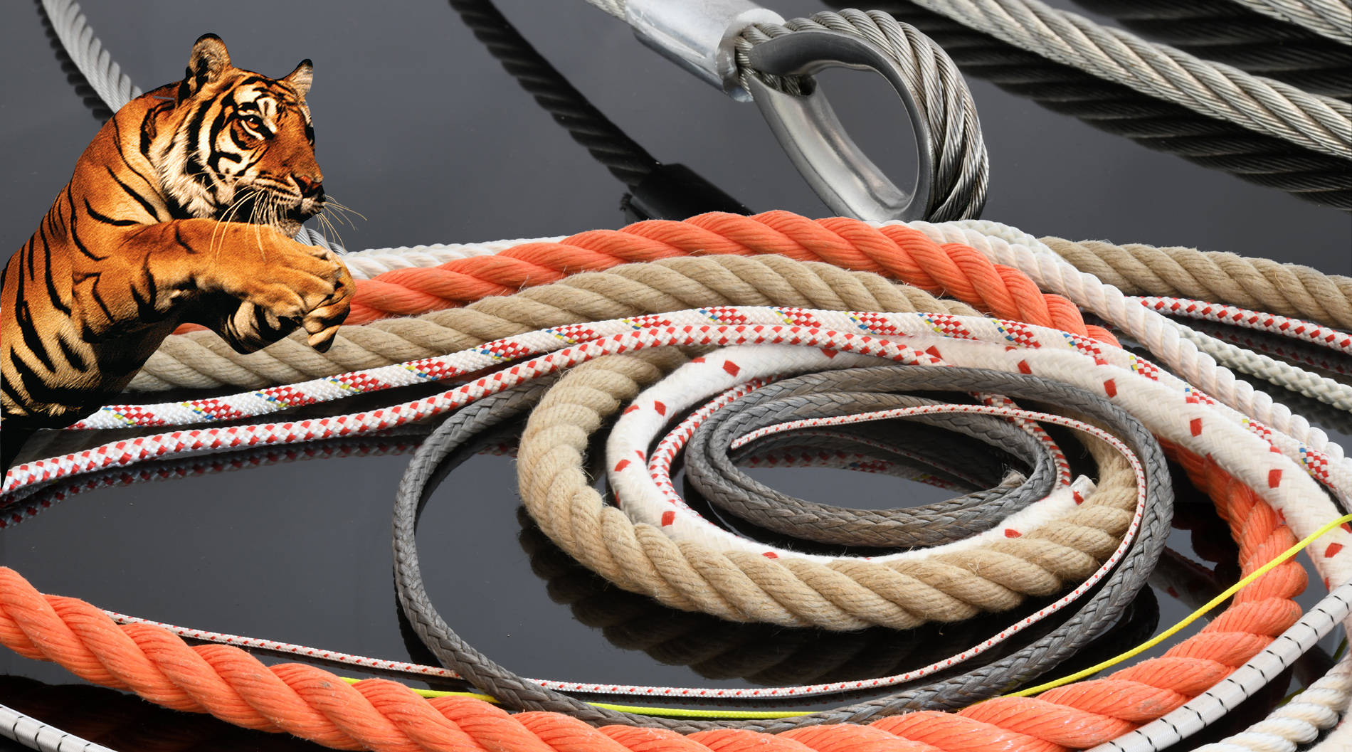 Anschlagseile Anschlagseile › Drahtseile › Drahtseilzubehör › Spezialseile › Kabelziehstrümpfe › Standardseile › Anschlagpunke…