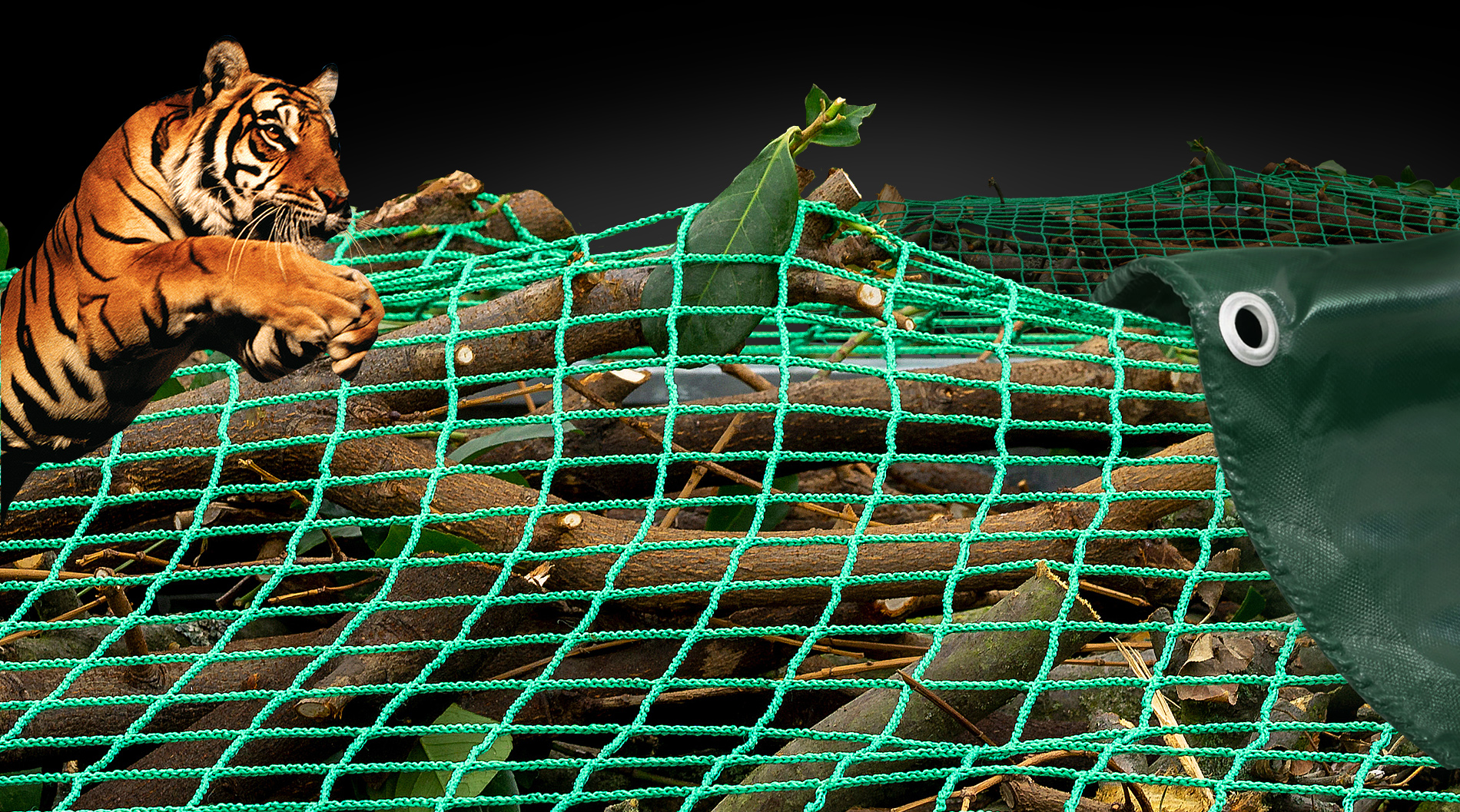 Netze Netze › Planen › Klebebänder…